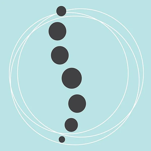 Spinal Flow ~ Initial Session